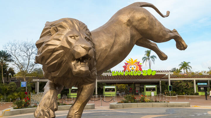San Diego Zoo vs SeaWorld - Compare Major Differences